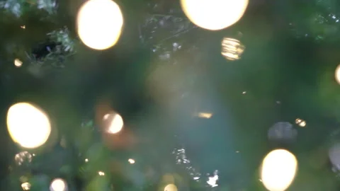 Camera moving across the blurred Christmas tree branches with blinking lights Stock Footage 250352279