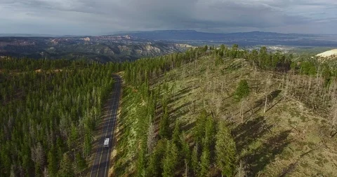 Camera moving aerial view over canyon with pine forest, highway and white car Video stock 118642546