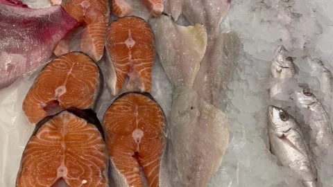Camera moving along a fresh seafood display with salmon fish and octopus on ice Stock Footage 336219124