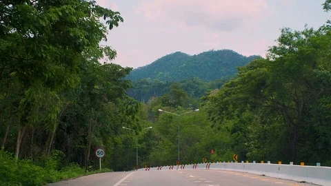 Camera moving along the green nature road Video stock 109083287