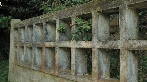 Camera Moving Along the Old Stone Fence in a Yard of Abondaned House in Spain Stock Footage 94593276