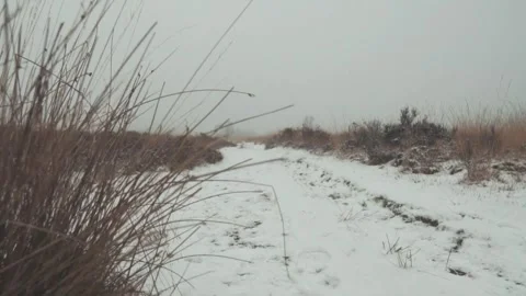 Camera moving along snowy path with dry grass Stock-Footage 289663438