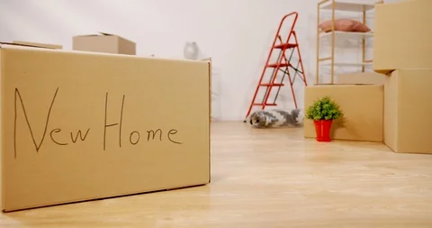 Camera moving among carton boxes and home stuff in the living room during moving Video stock 100962920