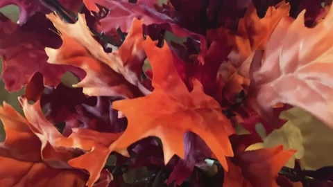 Camera Moving Around Leaf Decoration Stock Footage 289257359