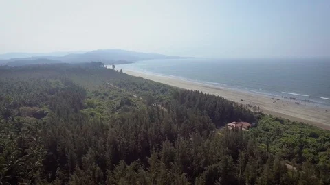 Camera moving backward. palm trees to the sea Video stock 129416031