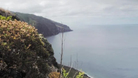 Camera moving backwards revealing ocean view Stock Footage 293158719