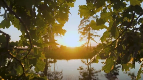 Camera moving backwards revealing sunset over lake Video stock 291883088