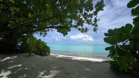 Camera is moving from beach to blue lagoon in Maldives Stock Footage 120329088