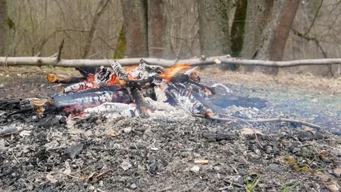 Camera moving before campfire at evening Stock Footage 75030528