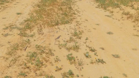 Camera moving up on dirty road in desert Stock Footage 93238192