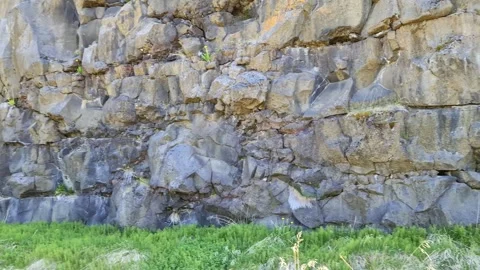 Camera moving down a wall of volcanic basalt columns with green vegetation on a Stock Footage 346326498
