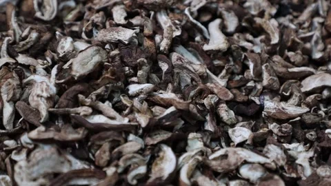 Camera moving with dried shiitake mushrooms Video stock 302949360