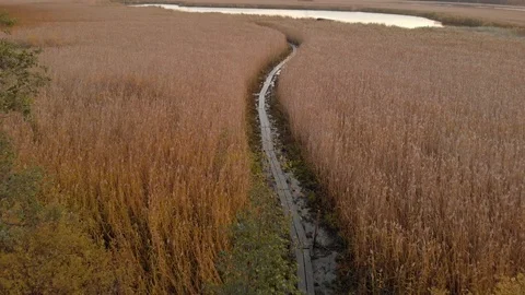 Camera moving forward above duckboards path and reed field. Helsinki Finland Stock Footage 105675794