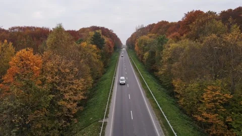 Camera moving forward aerial view of autumn highway Stock Footage 142750971
