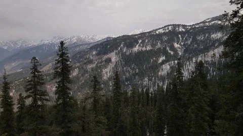 Camera moving forward between gap of two 2 pine trees to the mountain covered Stock Footage 157755464