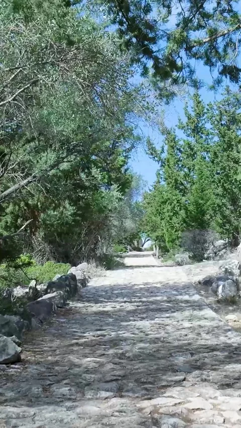 Camera moving forward on cobblestone path Stock Footage 294963875