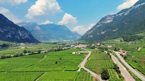 Camera moving forward over beautiful valley with vineyards and mountains Stock Footage 285089289