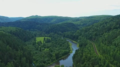 Camera moving forward over beautiful green forest and river Video stock 302253348