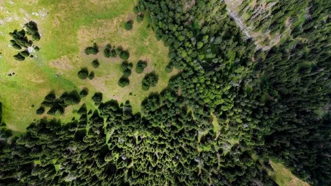 Camera moving forward over mountain forest Stock Footage 283279693