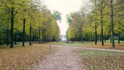 Camera moving forward on a path in a beautiful autumn park avenue Видео 320812968