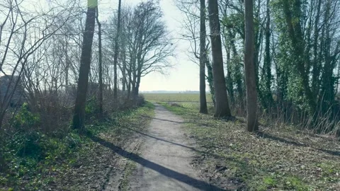 Camera moving forward on a path in a woodland park Видео 331188770