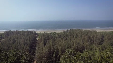 Camera moving forward to the sea. palm trees to the sea. Stock Footage 129379051