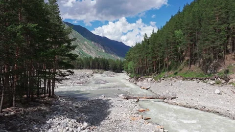 Camera moving forward showing mountain river with wooden bridge 動画素材 289658406