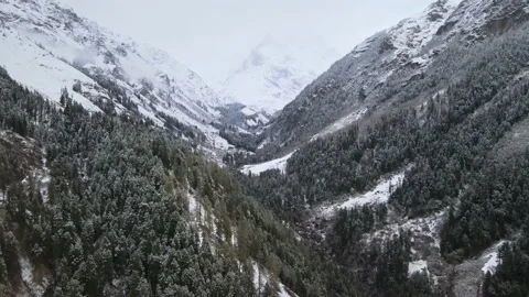 Camera moving forward through valley. snow covered mountains and green trees. Stock Footage 157690846