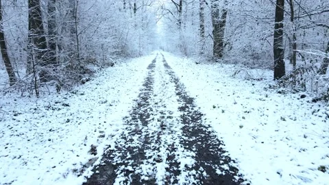 Camera moving forward by winter forest trail after snowstorm Stock Footage 144915880