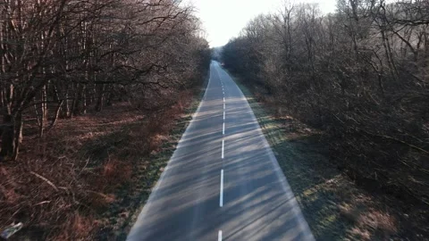 Camera moving forward by winter road without snow Stock Footage 150892465