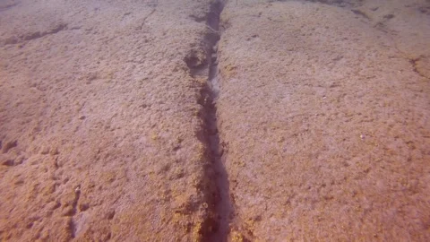 Camera moving forwards above rocky slab of seabed covered with cracks, Slow Stock Footage 255113814