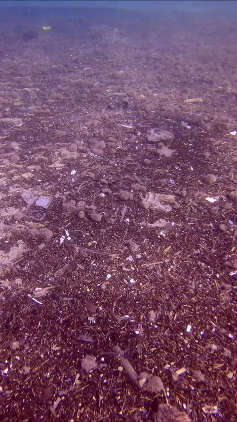 Camera moving forwards above sand seabed covered with large of small plastic Stock Footage 255109225