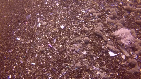 Camera moving forwards above sand seabed covered with large of small plastic Stock Footage 255110113