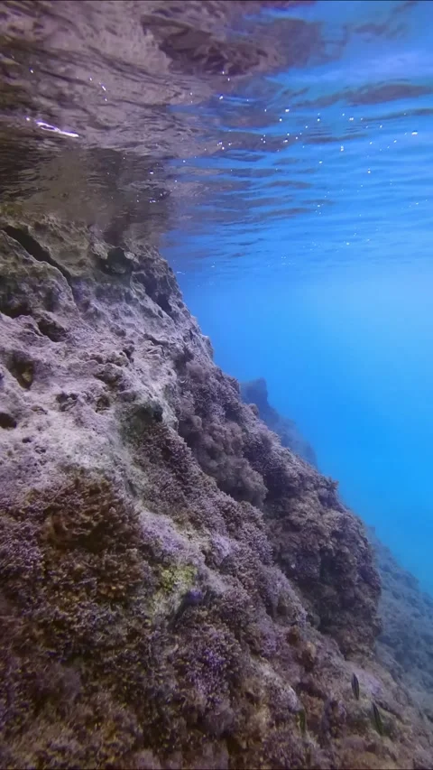 Camera moving forwards along cliff in clear blue water in sunrays Stock Footage 255110450