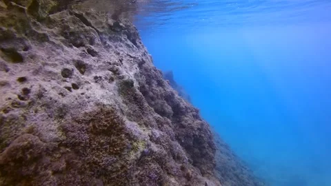 Camera moving forwards along cliff in clear blue water in sunrays Stock Footage 255110459