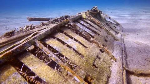 Camera moving forwards approaching to Mediterranean snakelocks sea anemone on Stock Footage 255110279