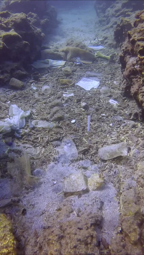 Camera moving forwards between two rocky reefs above seabed polluted with Stock Footage 255109087