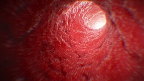 Camera Moving Inside Blood Vessel Seamless. Beautiful Medical Macro Illustration Stock-Footage 291073093