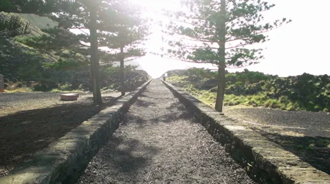 Camera Moving In the Middle of Pathway Stock Footage 59982282