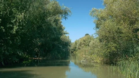 Camera moving in the narrow channel of Danube river delta at city of Vilkove Video stock 104321355