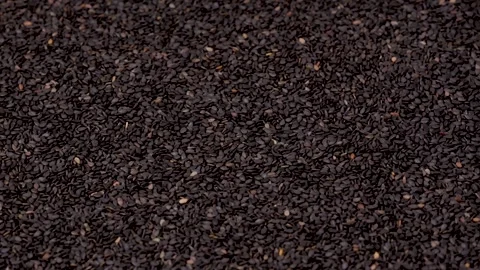 Camera moving over black sesame seeds Video stock 313913732
