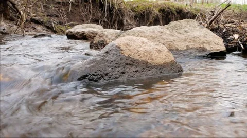 Camera is moving over clean fresh water of a forest stream running over mossy Stock Footage 74955869