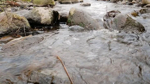 Camera is moving over clean fresh water of a forest stream running over mossy Stock Footage 74956669