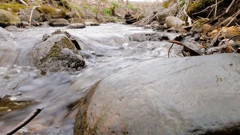 Camera is moving over clean fresh water of a forest stream running over mossy Stock Footage 74957369