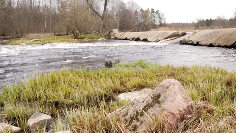 Camera is moving over clean fresh water of a forest stream running over mossy Stock Footage 74959702