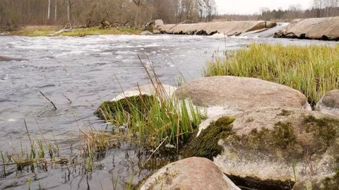 Camera is moving over clean fresh water of a forest stream running over mossy Stock Footage 74960286