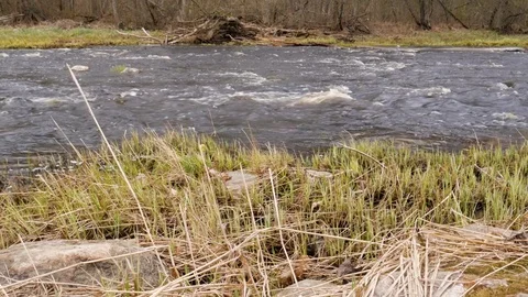 Camera is moving over clean fresh water of a forest stream running over mossy Stock Footage 74961217
