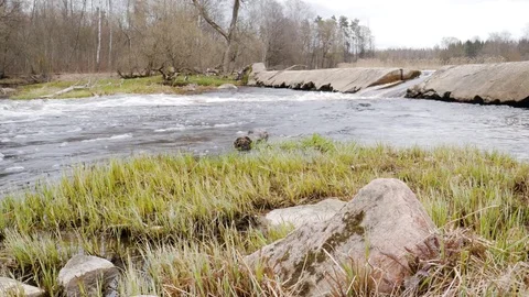 Camera is moving over clean fresh water of a forest stream running over mossy Stock Footage 75237745