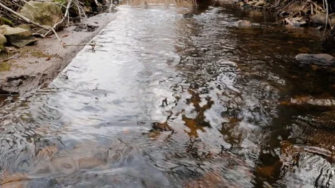 Camera is moving over clean fresh water of a forest stream running over mossy Stock Footage 75238410