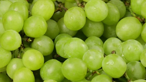 Camera moving over fresh green grapes Stock Footage 313913374